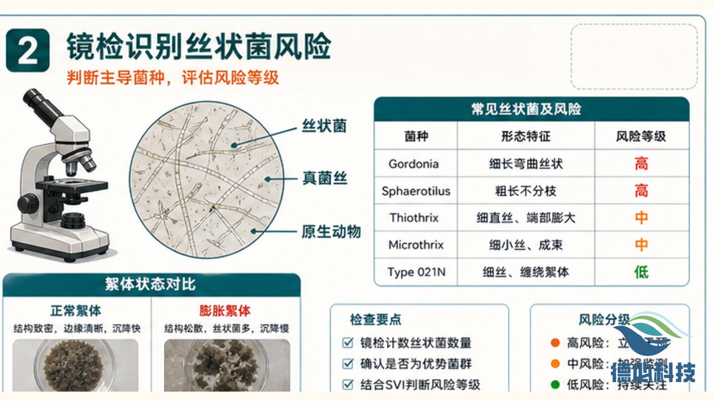 污泥膨胀苗头,先查丝状菌风险