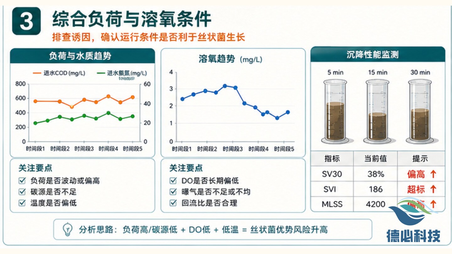 污泥膨胀苗头,先查丝状菌风险